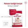 Royal Canin Medium Adult 15 کیلوگرم غذای سگ بالغ نژاد متوسط