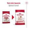 Royal Canin Medium Adult 15 کیلوگرم غذای سگ بالغ نژاد متوسط