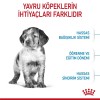 Royal Canin Medium Puppy 4 kg Orta Irk Yavru Köpek Maması