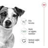 Royal Canin Mini Adult 4 کیلوگرم غذای سگ بالغ نژاد کوچک
