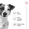 Royal Canin Mini Adult 8+ 2 کیلوگرم غذای سگ مسن نژاد کوچک