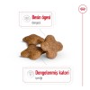 Royal Canin Mini Adult 8+ 2 کیلوگرم غذای سگ مسن نژاد کوچک