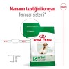 Royal Canin Mini Adult 8+ 2 کیلوگرم غذای سگ مسن نژاد کوچک