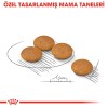 Royal Canin Mini Dermacomfort 3 کیلوگرم غذای سگ بالغ نژاد کوچک