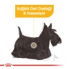 Royal Canin Mini Dermacomfort 3 کیلوگرم غذای سگ بالغ نژاد کوچک
