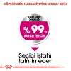 Royal Canin Mini Exigent 3 Kg غذای سگ انتخابی بالغ نژاد کوچک