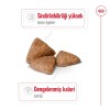 Royal Canin Mini Indoor Adult 1,5 کیلوگرم غذای سگ بالغ نژاد کوچک