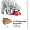 Royal Canin Mini Indoor Adult 1,5 کیلوگرم غذای سگ بالغ نژاد کوچک