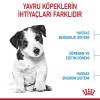 Royal Canin Mini Puppy 4 kg Küçük Irk Yavru Köpek Maması