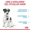 Royal Canin Mini Starter Mother & Babydog 4 Kg Küçük Irk Anne ve Yavru Köpek Maması