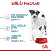 Royal Canin Mini Starter Mother & Babydog 4 Kg Küçük Irk Anne ve Yavru Köpek Maması