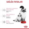 Royal Canin Mother & Babycat Anne ve Yavru Kedi Maması 2 kg