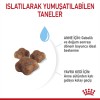 Royal Canin Mother & Babycat Anne ve Yavru Kedi Maması 400 g