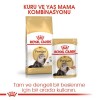 Royal Canin Persian Adult 2 kg Yetişkin Kedi Maması
