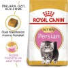 Royal Canin Persian Kitten 2 kg Persian Yavru Kedi Maması
