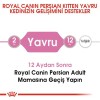 Royal Canin Persian Kitten 2 kg Persian Yavru Kedi Maması