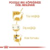 Royal Canin Poodle Adult 3 کیلوگرم غذای سگ بالغ