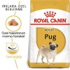 Royal Canin Pug Adult 1,5 Kg Yetişkin Köpek Maması