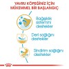 Royal Canin Pug Puppy 1,5 Kg Yavru Köpek Maması
