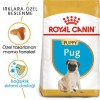 Royal Canin Pug Puppy 1,5 Kg Yavru Köpek Maması