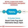 Royal Canin Pug Puppy 1,5 Kg Yavru Köpek Maması