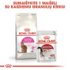 Royal Canin Savour Exigent 10 Kg Seçici Yetişkin Kedi Maması