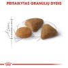Royal Canin Savour Exigent 4 Kg Seçici Yetişkin Kedi Maması