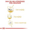 Royal Canin Shih Tzu Adult 1,5 Kg Yetişkin Köpek Maması