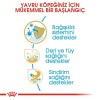 Royal Canin Shih Tzu Puppy 1,5 Kg Yavru Köpek Maması
