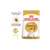 Royal Canin Siamese Adult 2 Kg Yetişkin Kedi Maması