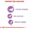 Royal Canin Sterilised 7+ 3,5 kg Kısırlaştırılmış Yaşlı Kedi Maması