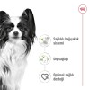 Royal Canin X-Small Adult 1,5 kg Çok Küçük Irk Yetişkin Köpek Maması
