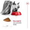 Royal Canin X-Small Ageing 12+ 1,5 Kg Çok Küçük Irk Yaşlı Köpek Maması