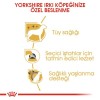 Royal Canin Yorkshire Terrier Adult 1,5 Kg Yetişkin Köpek Maması