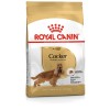 Royal Canin Cocker Adult 3 Kg Yetişkin Köpek Maması