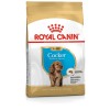 Royal Canin Cocker Puppy 3 Kg Yavru Köpek Maması
