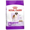 Royal Canin Giant Adult 15 Kg Dev Irk Yetişkin Köpek Maması