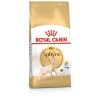 Royal Canin Sphynx Adult 2 Kg Irka Özel Yetişkin Kedi Maması