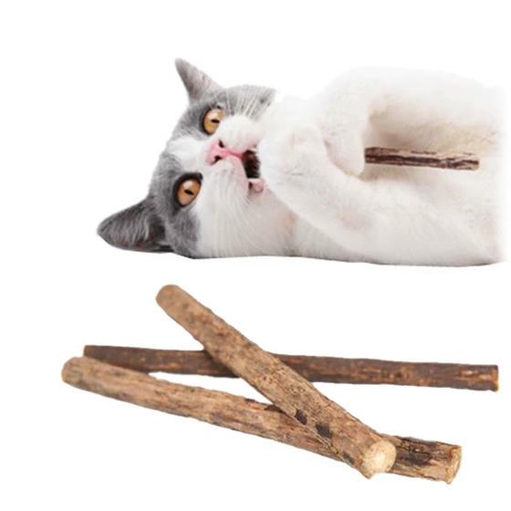 Bioline Kediotlu Tartar Önleyici Kedi Ağız Bakım Çubuk 10 gr