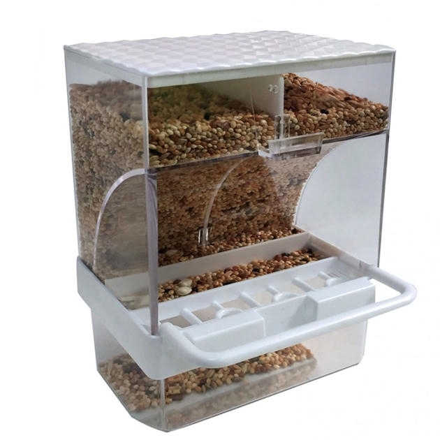 Beaks Eko Feeder Kuşlar için Akıllı Yemlik