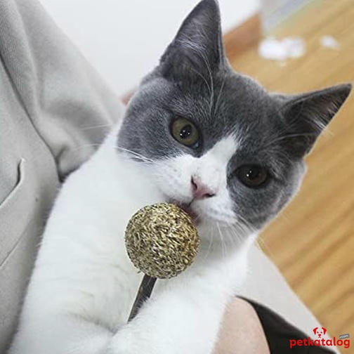 Eastland Matatabi Catnip Toplu Kedi Lolipop 9,5 cm