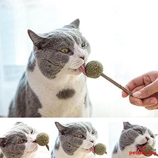 Eastland Matatabi Catnip Toplu Kedi Lolipop 9,5 cm