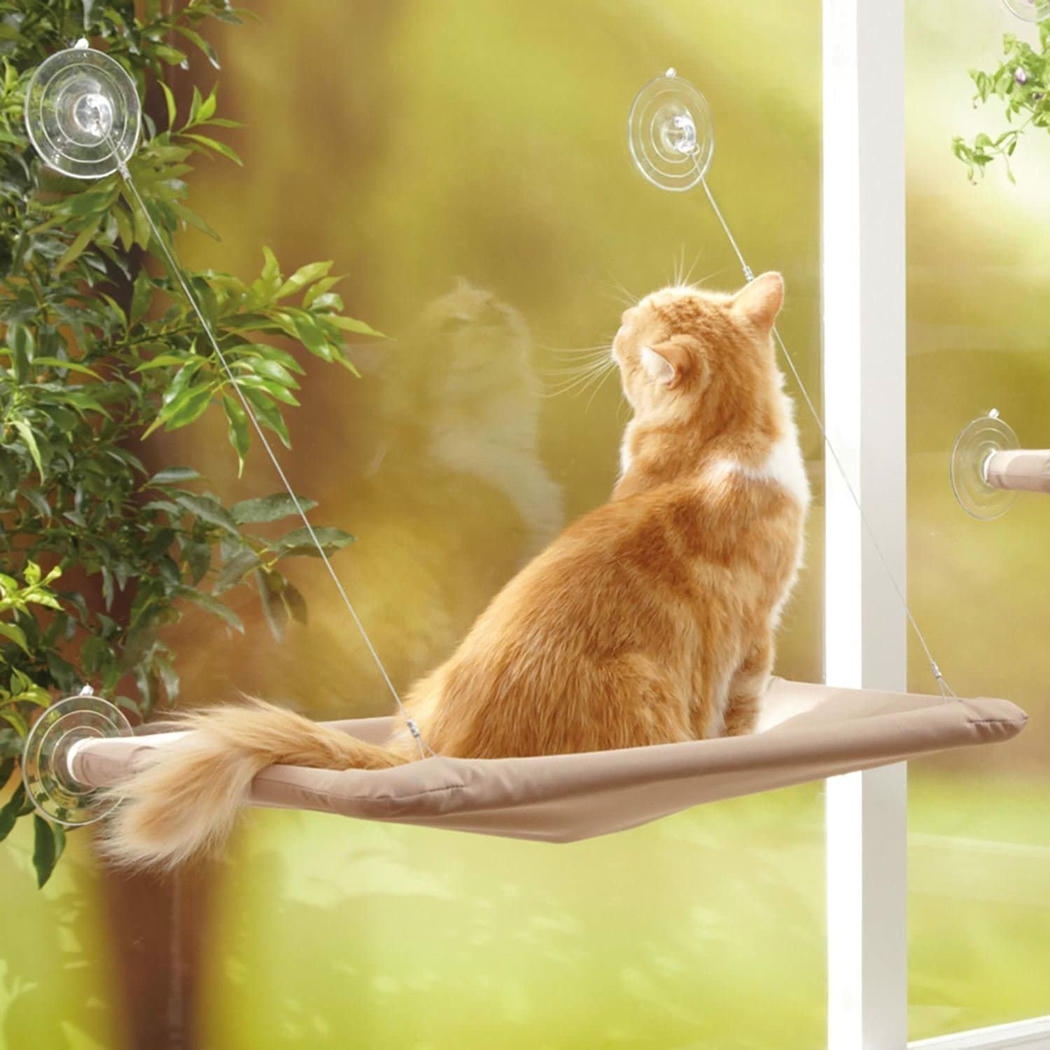 Petzoom تخت پنجره گربه با ساکشن کاپ 44.5 x 30 cm