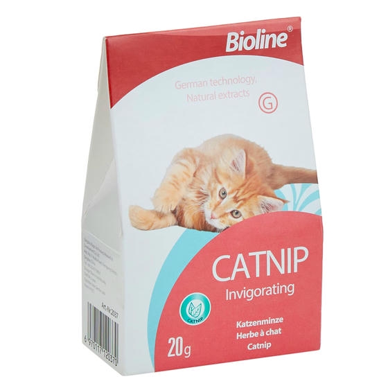 Bioline Catnip Doğal Kedi Nanesi 20 gr