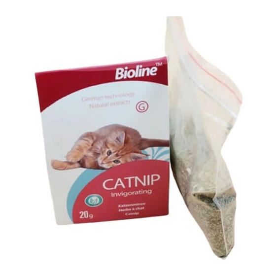 Bioline Catnip Doğal Kedi Nanesi 20 gr