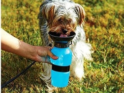 Aqua Dog Portatif Seyahat Suluğu 18oz Mavi
