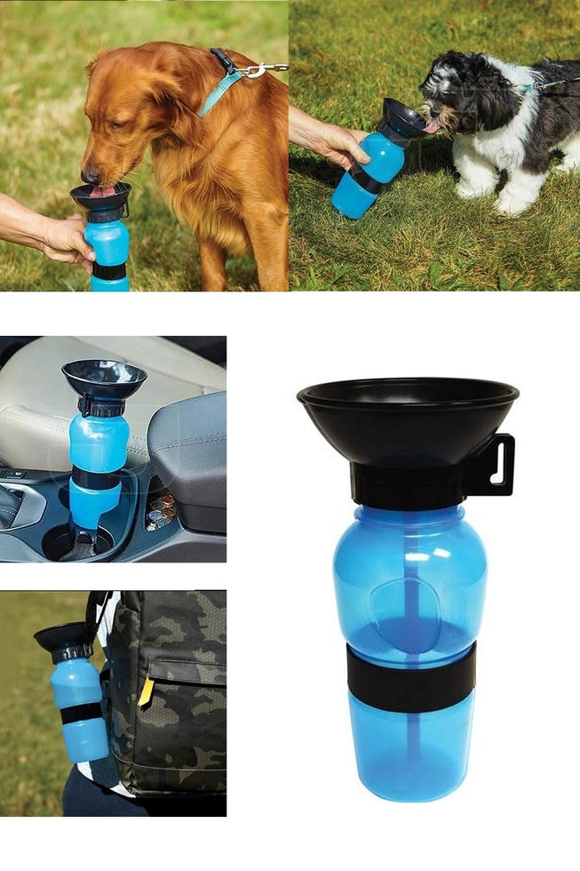 Aqua Dog Portatif Seyahat Suluğu 18oz Mavi