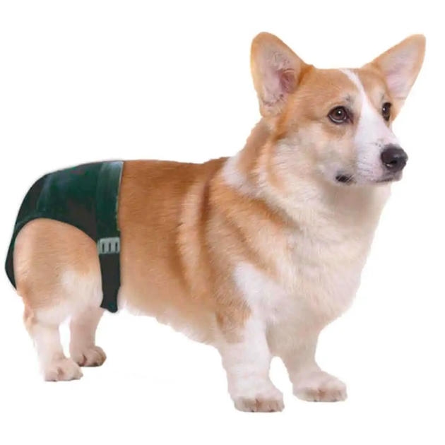 Pet Style Köpek Regl Külodu No:4