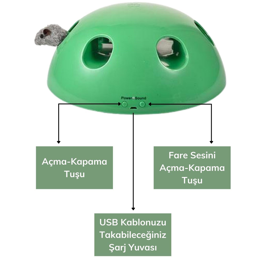 Product Gallery Image