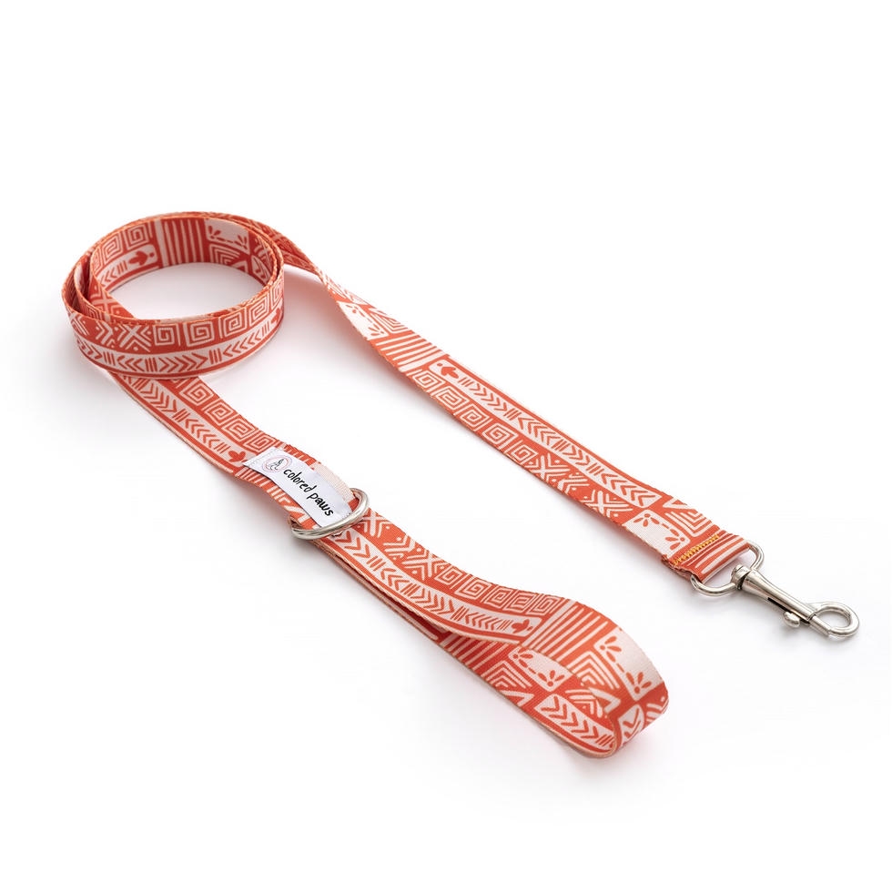 Colored Paws Linear Gezdirme Kayışı Small